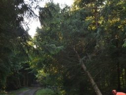 K17
